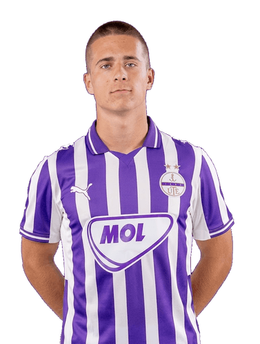 Palkó Áron
